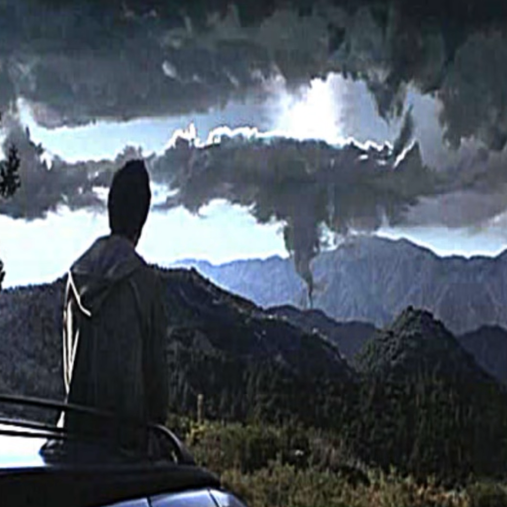 man staring at nature