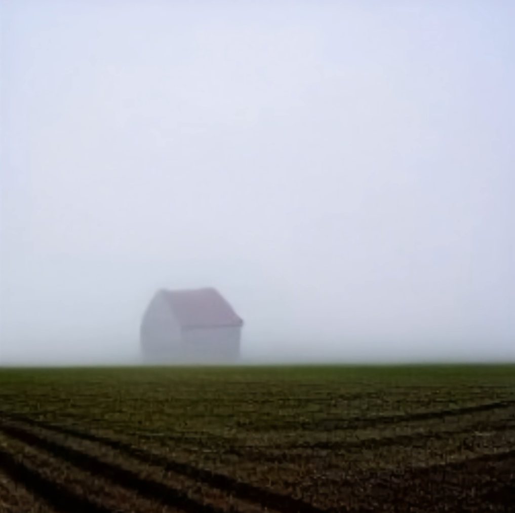 foggy farm